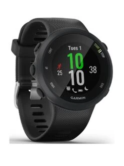Garmin Forerunner 45 GPS Running Watch With Garmin Coach Training Plan Upport - Black, Large