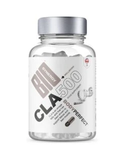 Bio Synergy Body Perfect CLA Slimming Pills (90 Capsules)