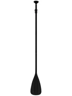 Pure 4 Fun PURE 320 SUP All-Round Inflatable Stand Up Paddle Board 10.5 Feet & Pump, Patch Tool, Foot Lead, Adjustable Paddle And Waterproof 2L Bag -APPLE || PURE2IMPROVE || Sonik Sales Store QQLQ9 SQ6 0000000088 NO COLOR SLd3