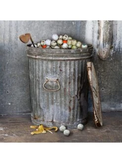 6 Pack Novelty - Golf Balls -APPLE || PURE2IMPROVE || Sonik Sales Store RHRHV SQ3 0000000099 N A SLd