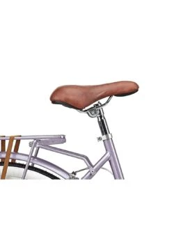 Viking Paloma Ladies Traditional Dutch Bike 26-inch Wheel -APPLE || PURE2IMPROVE || Sonik Sales Store RTMG9 SQ5 0000000088 NO COLOR SLd2