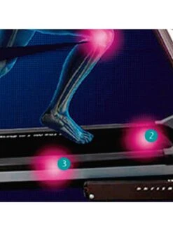 BH Fitness TRBS9 Folding Treadmill -APPLE || PURE2IMPROVE || Sonik Sales Store TGTKV SQ6 0000000099 N A SLd3