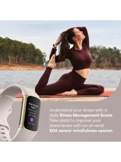 Fitbit Charge 5 - Lunar White/Soft Gold Stainless Steel -APPLE || PURE2IMPROVE || Sonik Sales Store TLM6L SQ7 0000000013 WHITE SLd3