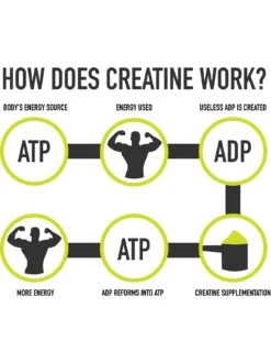 Bio Synergy Creatine Plus Strength -APPLE || PURE2IMPROVE || Sonik Sales Store U7RY6 SQ3 0000000099 N A SLd