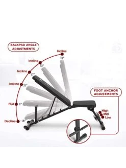 Circuit Fitness 600CG Cage & Bench 12 Circuit Fitness 600CG Cage & Bench -APPLE || PURE2IMPROVE || Sonik Sales Store UFJ9Q SQ5 0000000099 N A SLd2