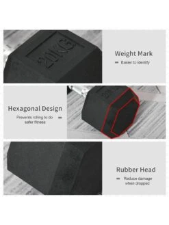 Homcom 20KG Single Rubber Hex Dumbbell  -APPLE || PURE2IMPROVE || Sonik Sales Store VAOF8 SQ5 0000000088 NO COLOR SLd2