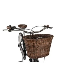 Dawes Classic 19 Inch Frame Heritage Bike -APPLE || PURE2IMPROVE || Sonik Sales Store VH5N1 SQ4 0000000099 N A SLd1