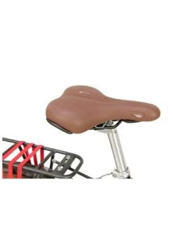 Raleigh Pioneer Grand Tour 700C/21"/Lg Mens 24Spd Green/Black -APPLE || PURE2IMPROVE || Sonik Sales Store VK0U0 SQ5 0000000047 GREEN SLd2