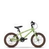 Raleigh Pop Green Childrens Bike