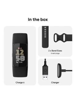 Fitbit Charge 6 - Obsidian Band / Black Aluminum Case -APPLE || PURE2IMPROVE || Sonik Sales Store VQQBE SQ7 0000000004 BLACK SLd3